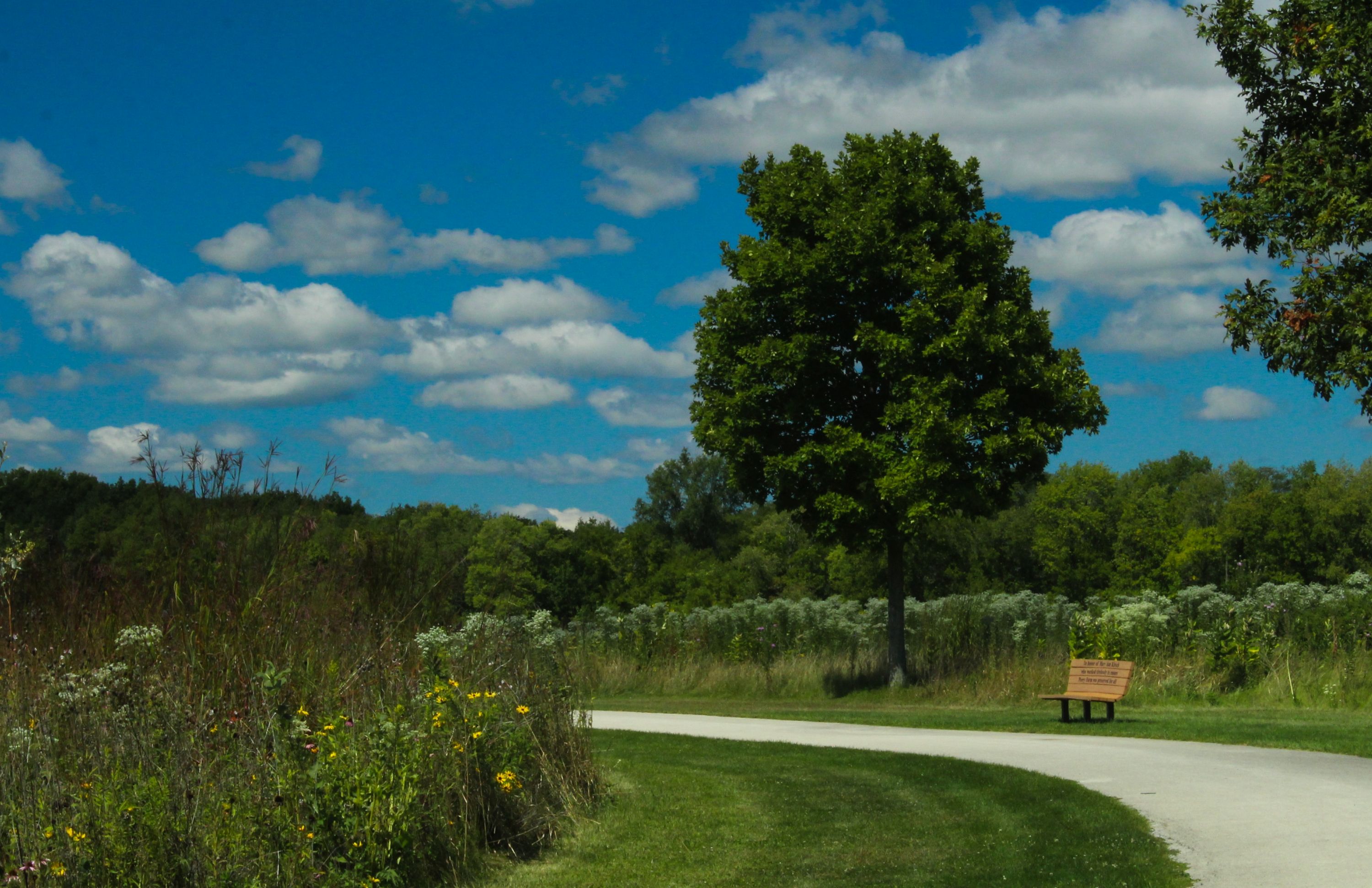 Bradley Shutterstock 2682754141