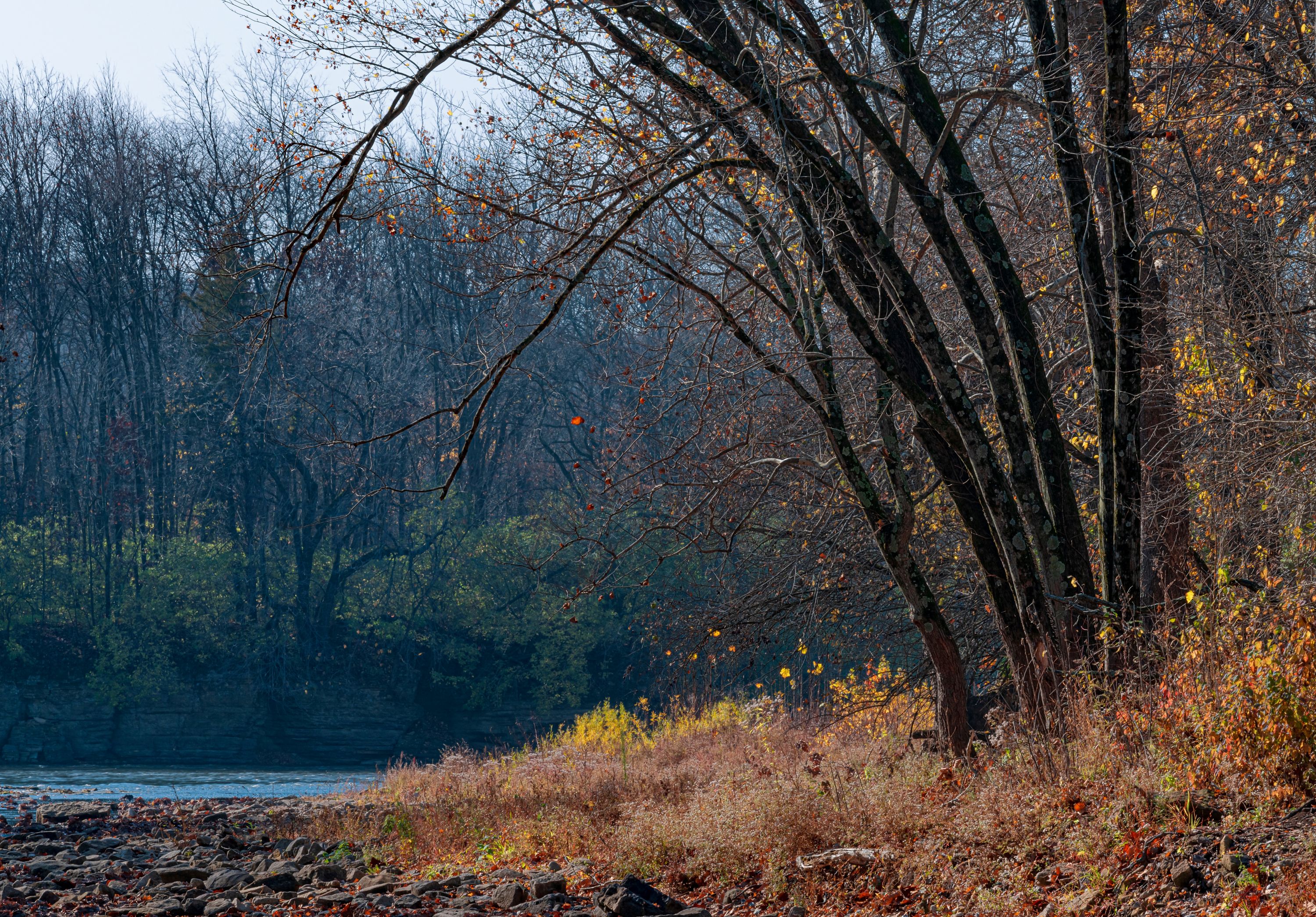 Limestone Shutterstock 2289188371